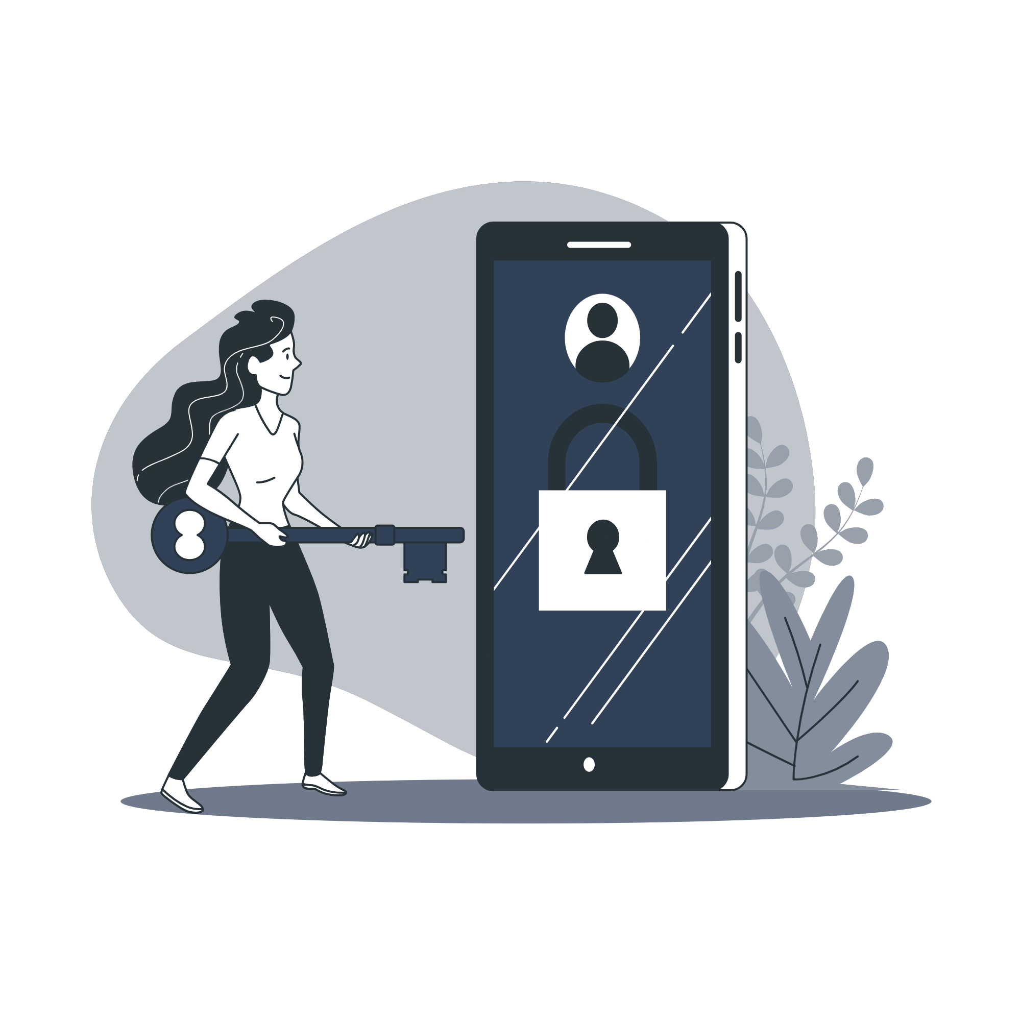 Login illustration